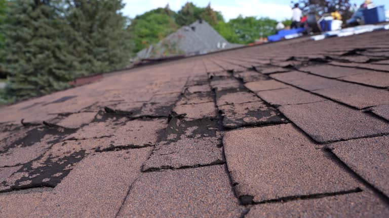 Best Asphalt Shingle Roofing  in Pacolet, SC