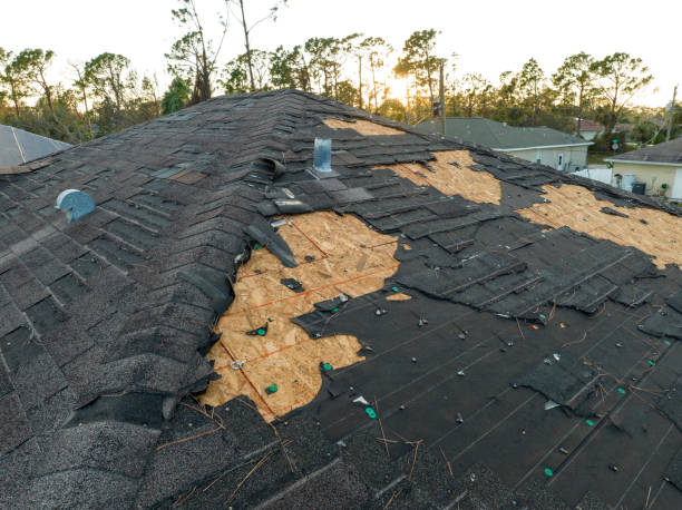 Best Roof Maintenance and Cleaning  in Pacolet, SC